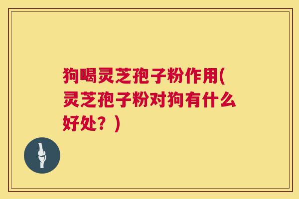 狗喝灵芝孢子粉作用(灵芝孢子粉对狗有什么好处？)  第1张