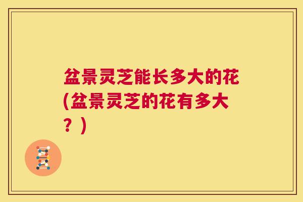 盆景灵芝能长多大的花(盆景灵芝的花有多大?) 第1张 盆景灵芝能长多大的花(盆景灵芝的花有多大?) 第1张
