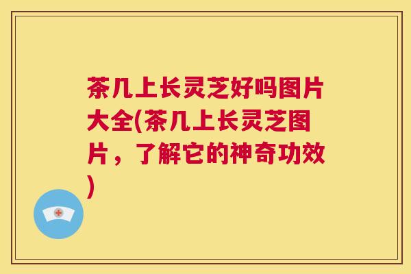 茶几上长灵芝好吗图片大全(茶几上长灵芝图片，了解它的神奇功效)  第1张