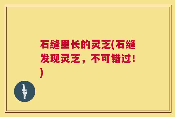石缝里长的灵芝(石缝发现灵芝,不可错过!) 第1张 石缝里长的灵芝(石缝发现灵芝,不可错过!) 第1张
