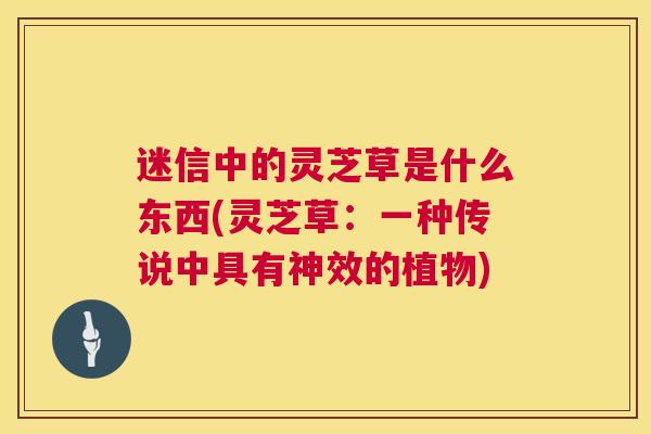 迷信中的灵芝草是什么东西(灵芝草：一种传说中具有神效的植物)  第1张