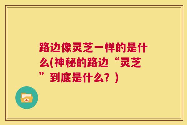 路边像灵芝一样的是什么(神秘的路边“灵芝”到底是什么?) 第1张 路边像灵芝一样的是什么(神秘的路边“灵芝”到底是什么?) 第1张