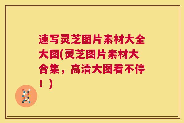 速写灵芝图片素材大全大图(灵芝图片素材大合集，高清大图看不停！)  第1张