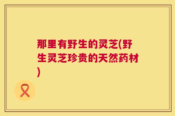 那里有野生的灵芝(野生灵芝珍贵的天然药材)  第1张