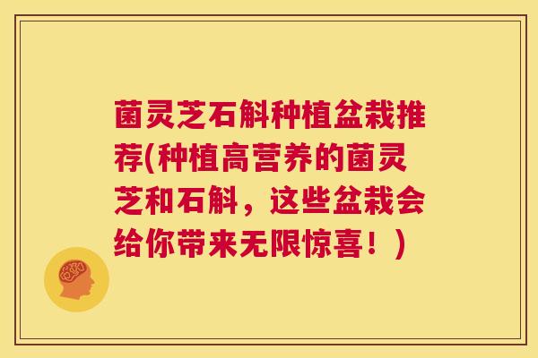 菌灵芝石斛种植盆栽推荐(种植高营养的菌灵芝和石斛，这些盆栽会给你带来无限惊喜！)  第1张