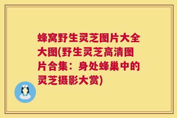 蜂窝野生灵芝图片大全大图(野生灵芝高清图片合集：身处蜂巢中的灵芝摄影大赏)  第1张