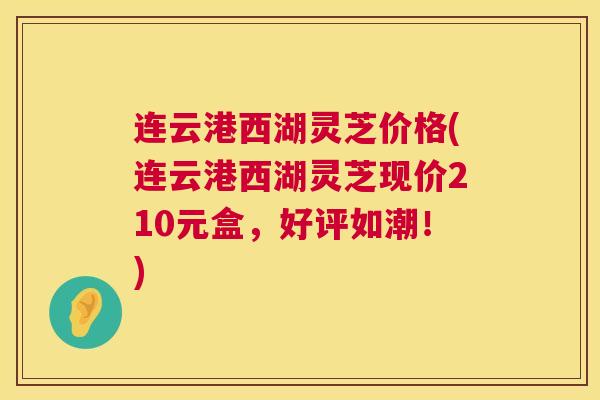 连云港西湖灵芝价格(连云港西湖灵芝现价210元盒，好评如潮！)  第1张