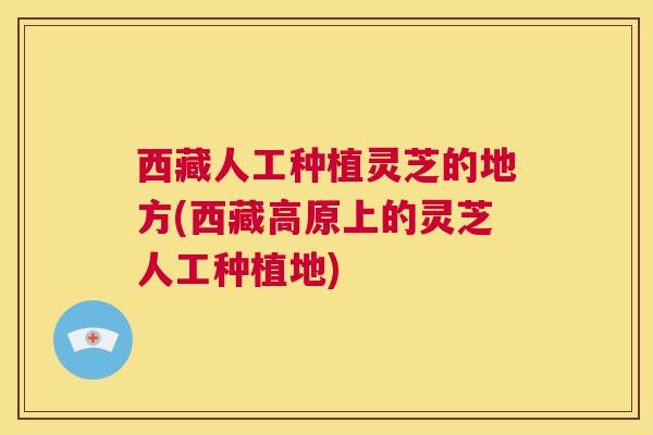 西藏人工种植灵芝的地方(西藏高原上的灵芝人工种植地)  第1张