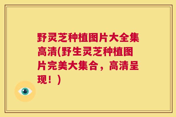 野灵芝种植图片大全集高清(野生灵芝种植图片完美大集合,高清呈现!) 第1张 野灵芝种植图片大全集高清(野生灵芝种植图片完美大集合,高清呈现!) 第1张