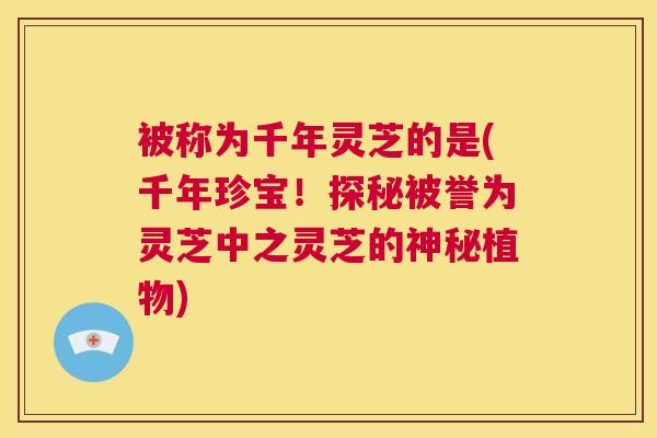 被称为千年灵芝的是(千年珍宝!探秘被誉为灵芝中之灵芝的神秘植物) 第1张 被称为千年灵芝的是(千年珍宝!探秘被誉为灵芝中之灵芝的神秘植物) 第1张