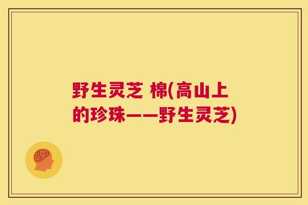 野生灵芝 棉(高山上的珍珠——野生灵芝) 第1张 野生灵芝 棉(高山上的珍珠——野生灵芝) 第1张