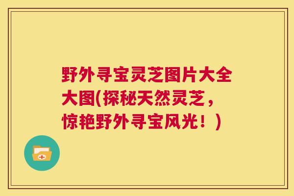 野外寻宝灵芝图片大全大图(探秘天然灵芝,惊艳野外寻宝风光!) 第1张 野外寻宝灵芝图片大全大图(探秘天然灵芝,惊艳野外寻宝风光!) 第1张