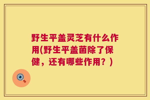 野生平盖灵芝有什么作用(野生平盖菌除了保健,还有哪些作用?) 第1张 野生平盖灵芝有什么作用(野生平盖菌除了保健,还有哪些作用?) 第1张