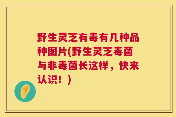 野生灵芝有毒有几种品种图片(野生灵芝毒菌与非毒菌长这样，快来认识！)  第1张
