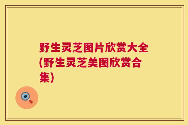 野生灵芝图片欣赏大全(野生灵芝美图欣赏合集) 第1张 野生灵芝图片欣赏大全(野生灵芝美图欣赏合集) 第1张