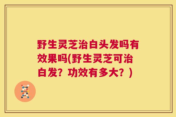 野生灵芝治白头发吗有效果吗(野生灵芝可治白发?功效有多大?) 第1张 野生灵芝治白头发吗有效果吗(野生灵芝可治白发?功效有多大?) 第1张