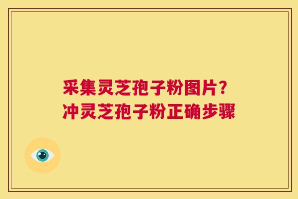 采集灵芝孢子粉图片?冲灵芝孢子粉正确步骤 第1张 采集灵芝孢子粉图片?冲灵芝孢子粉正确步骤 第1张
