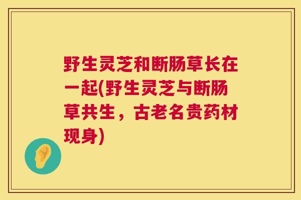 野生灵芝和断肠草长在一起(野生灵芝与断肠草共生,古老名贵药材现身) 第1张 野生灵芝和断肠草长在一起(野生灵芝与断肠草共生,古老名贵药材现身) 第1张