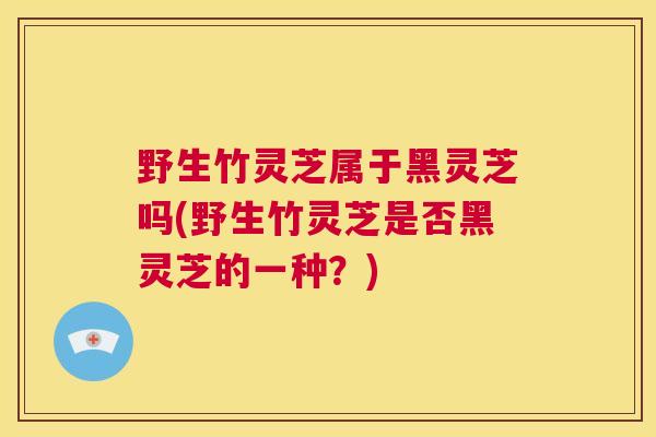 野生竹灵芝属于黑灵芝吗(野生竹灵芝是否黑灵芝的一种?) 第1张 野生竹灵芝属于黑灵芝吗(野生竹灵芝是否黑灵芝的一种?) 第1张