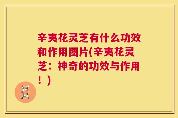 辛夷花灵芝有什么功效和作用图片(辛夷花灵芝:神奇的功效与作用!) 第1张 辛夷花灵芝有什么功效和作用图片(辛夷花灵芝:神奇的功效与作用!) 第1张
