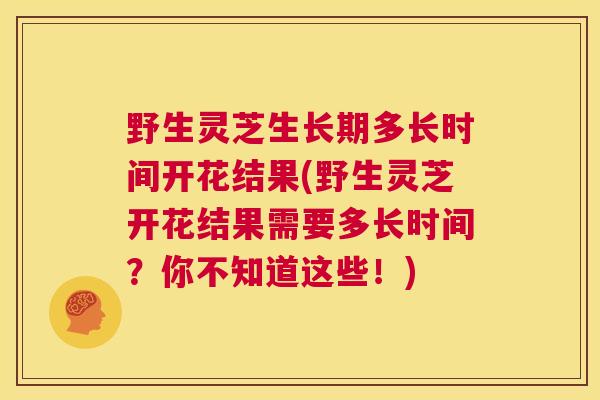 野生灵芝生长期多长时间开花结果(野生灵芝开花结果需要多长时间?你不知道这些!) 第1张 野生灵芝生长期多长时间开花结果(野生灵芝开花结果需要多长时间?你不知道这些!) 第1张