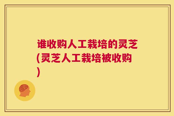 谁收购人工栽培的灵芝(灵芝人工栽培被收购) 第1张 谁收购人工栽培的灵芝(灵芝人工栽培被收购) 第1张