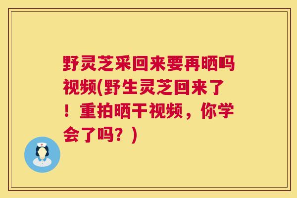 野灵芝采回来要再晒吗视频(野生灵芝回来了!重拍晒干视频,你学会了吗?) 第1张 野灵芝采回来要再晒吗视频(野生灵芝回来了!重拍晒干视频,你学会了吗?) 第1张