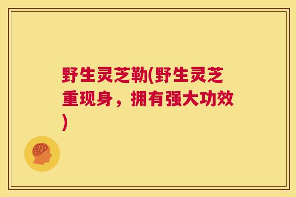 野生灵芝勒(野生灵芝重现身,拥有强大功效) 第1张 野生灵芝勒(野生灵芝重现身,拥有强大功效) 第1张