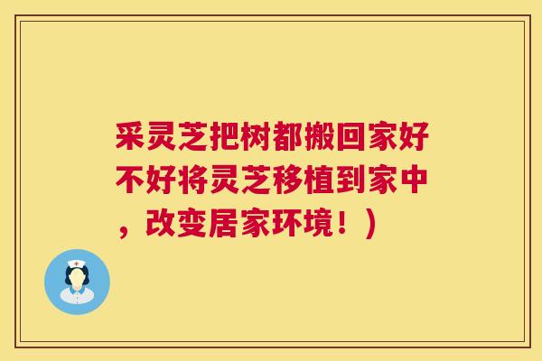 采灵芝把树都搬回家好不好将灵芝移植到家中,改变居家环境!) 第1张 采灵芝把树都搬回家好不好将灵芝移植到家中,改变居家环境!) 第1张