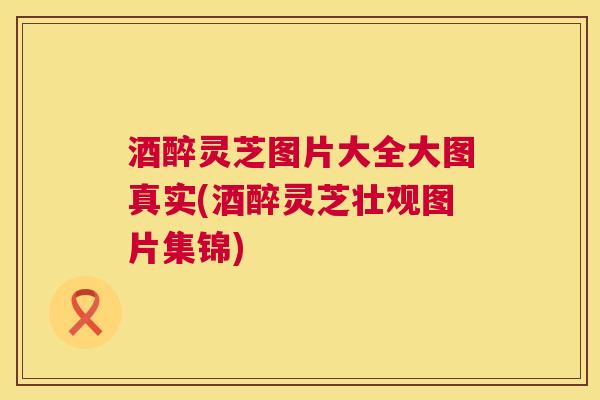 酒醉灵芝图片大全大图真实(酒醉灵芝壮观图片集锦) 第1张 酒醉灵芝图片大全大图真实(酒醉灵芝壮观图片集锦) 第1张