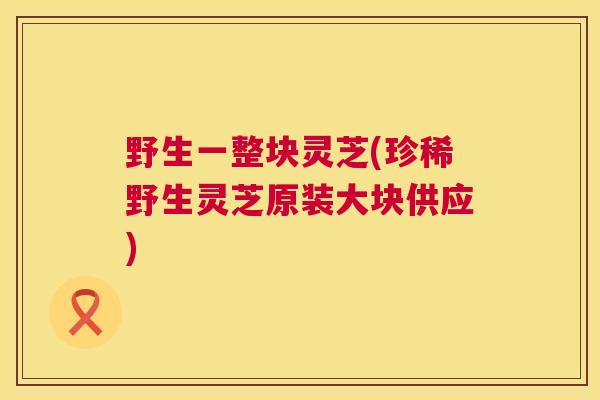 野生一整块灵芝(珍稀野生灵芝原装大块供应) 第1张 野生一整块灵芝(珍稀野生灵芝原装大块供应) 第1张