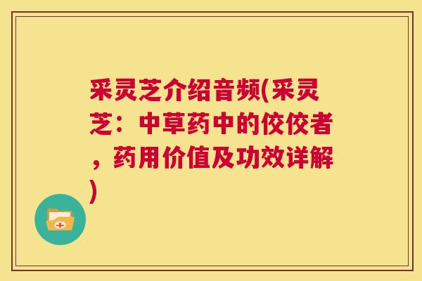 采灵芝介绍音频(采灵芝：中草药中的佼佼者，药用价值及功效详解)  第1张