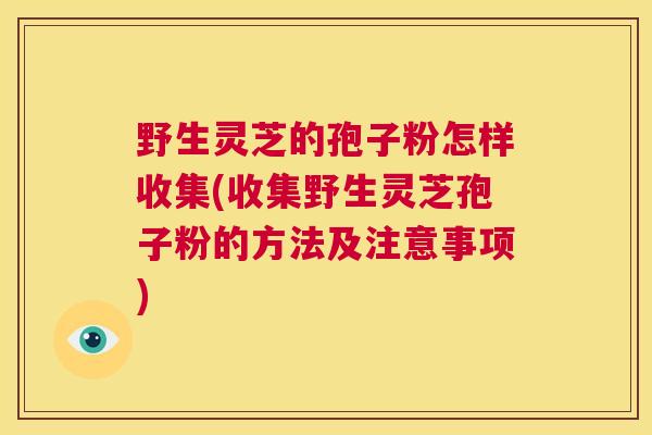 野生灵芝的孢子粉怎样收集(收集野生灵芝孢子粉的方法及注意事项) 第1张 野生灵芝的孢子粉怎样收集(收集野生灵芝孢子粉的方法及注意事项) 第1张