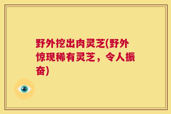 野外挖出肉灵芝(野外惊现稀有灵芝,令人振奋) 第1张 野外挖出肉灵芝(野外惊现稀有灵芝,令人振奋) 第1张