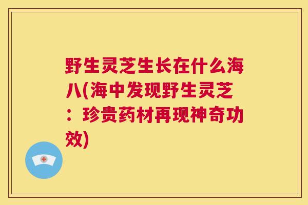 野生灵芝生长在什么海八(海中发现野生灵芝:珍贵药材再现神奇功效) 第1张 野生灵芝生长在什么海八(海中发现野生灵芝:珍贵药材再现神奇功效) 第1张