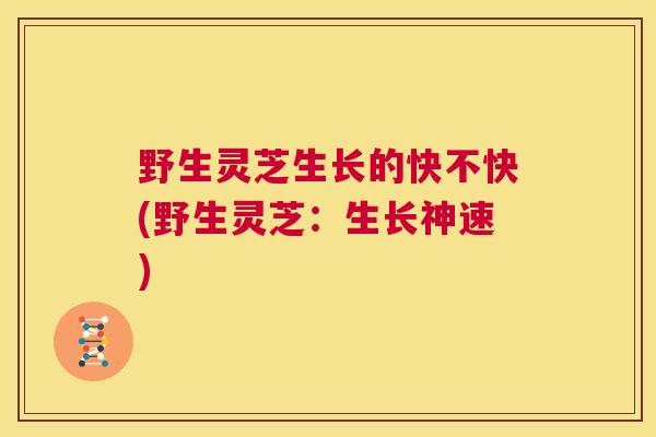 野生灵芝生长的快不快(野生灵芝：生长神速)  第1张