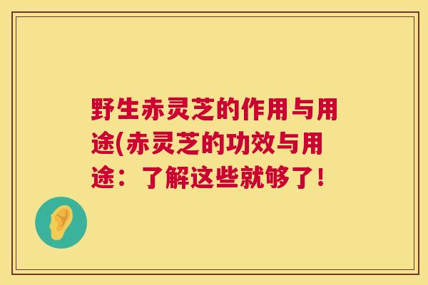 野生赤灵芝的作用与用途(赤灵芝的功效与用途:了解这些就够了! 第1张 野生赤灵芝的作用与用途(赤灵芝的功效与用途:了解这些就够了! 第1张