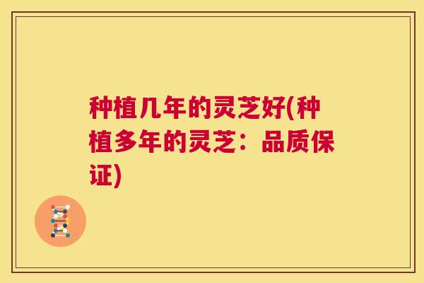 种植几年的灵芝好(种植多年的灵芝:品质保证) 第1张 种植几年的灵芝好(种植多年的灵芝:品质保证) 第1张