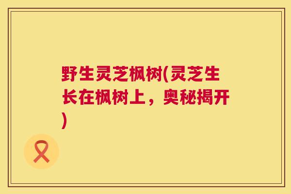 野生灵芝枫树(灵芝生长在枫树上,奥秘揭开) 第1张 野生灵芝枫树(灵芝生长在枫树上,奥秘揭开) 第1张