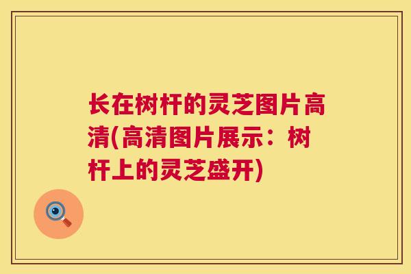 长在树杆的灵芝图片高清(高清图片展示：树杆上的灵芝盛开)  第1张