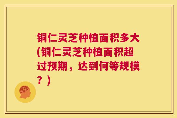 铜仁灵芝种植面积多大(铜仁灵芝种植面积超过预期,达到何等规模?) 第1张 铜仁灵芝种植面积多大(铜仁灵芝种植面积超过预期,达到何等规模?) 第1张