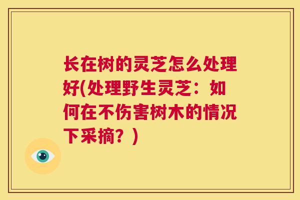 长在树的灵芝怎么处理好(处理野生灵芝：如何在不伤害树木的情况下采摘？)  第1张