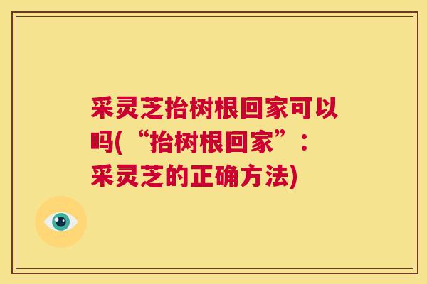 采灵芝抬树根回家可以吗(“抬树根回家”:采灵芝的正确方法) 第1张 采灵芝抬树根回家可以吗(“抬树根回家”:采灵芝的正确方法) 第1张