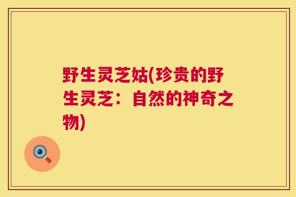 野生灵芝姑(珍贵的野生灵芝：自然的神奇之物)  第1张