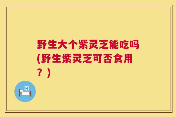 野生大个紫灵芝能吃吗(野生紫灵芝可否食用？)  第1张