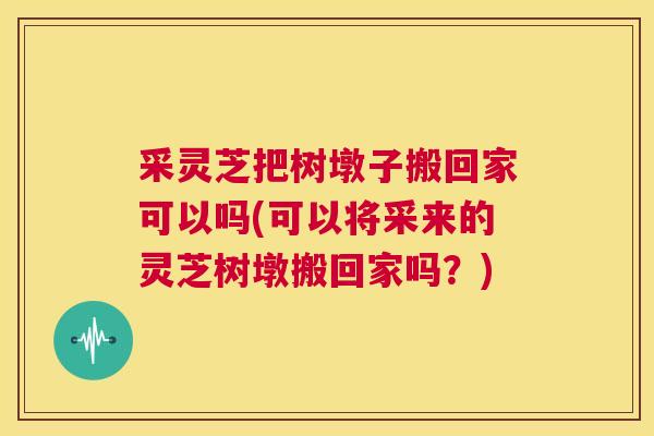 采灵芝把树墩子搬回家可以吗(可以将采来的灵芝树墩搬回家吗？)  第1张