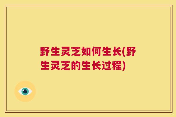 野生灵芝如何生长(野生灵芝的生长过程) 第1张 野生灵芝如何生长(野生灵芝的生长过程) 第1张