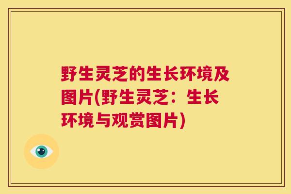 野生灵芝的生长环境及图片(野生灵芝：生长环境与观赏图片)  第1张