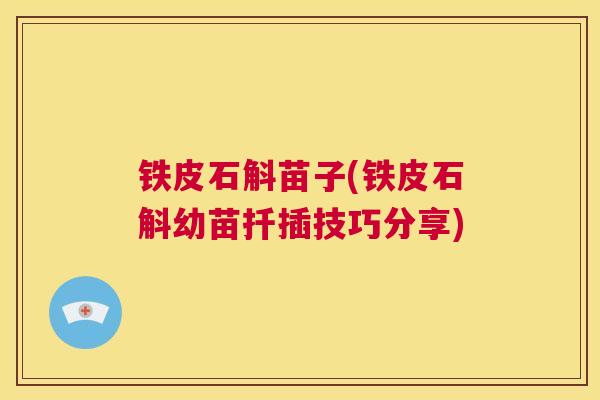 铁皮石斛苗子(铁皮石斛幼苗扦插技巧分享) 第1张 铁皮石斛苗子(铁皮石斛幼苗扦插技巧分享) 第1张