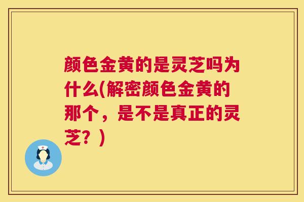 颜色金黄的是灵芝吗为什么(解密颜色金黄的那个，是不是真正的灵芝？)  第1张
